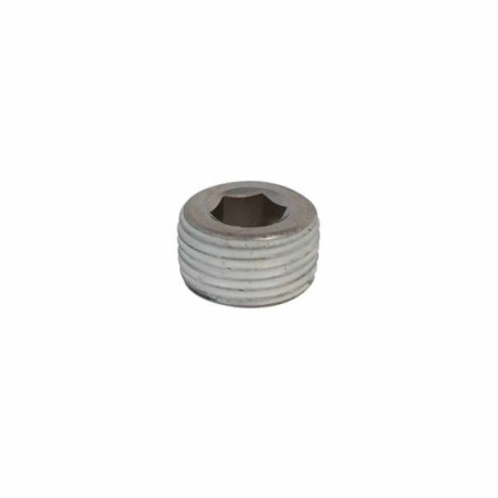 R-SC5/10TAPON, Tapón de purga cebado, VDE, &ITEM-019820