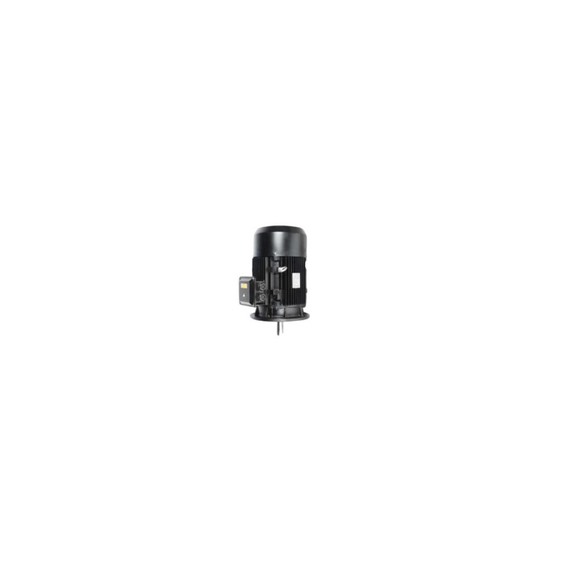 MAT2P 31230, MOTOR ELÉCTRICO ALTAMIRA SERIE, VDE, &ITEM-010829